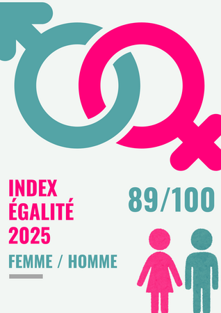 Index égalité Femmes/Hommes VH 2025
