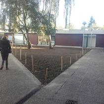 Délimitation des parcelles de plantation