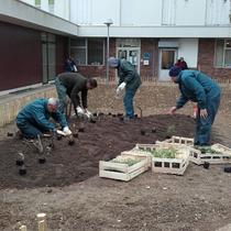 Plantation des végétaux