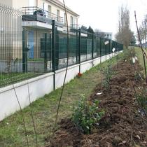 Le Mesnil Saint Denis : la haie plantée devant le Clos de Breteuil