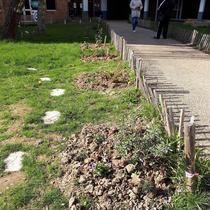 Bacs potagers participatifs Patio commerces Pont du Routoir Guyancourt (Juillet 2018)