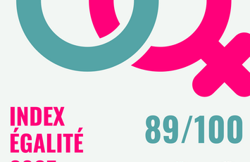 Index égalité Femmes/Hommes VH 2025