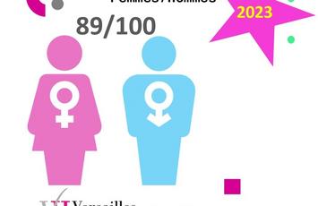 Index VH 2023 égalité Femmes-Hommes